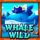Whale Wild